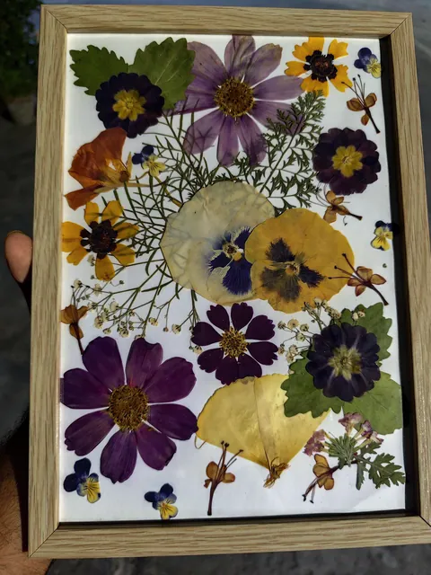 I pressed flowers from my winter garden for my girlfriend