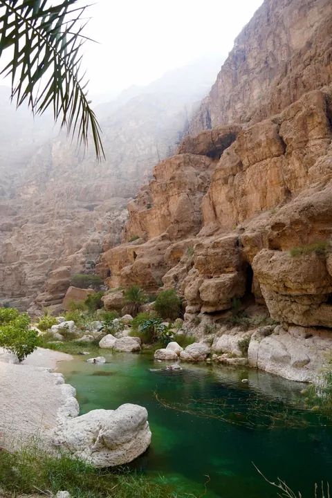 Oman: the most incredible nature in the Gulf! (Dec 2025)