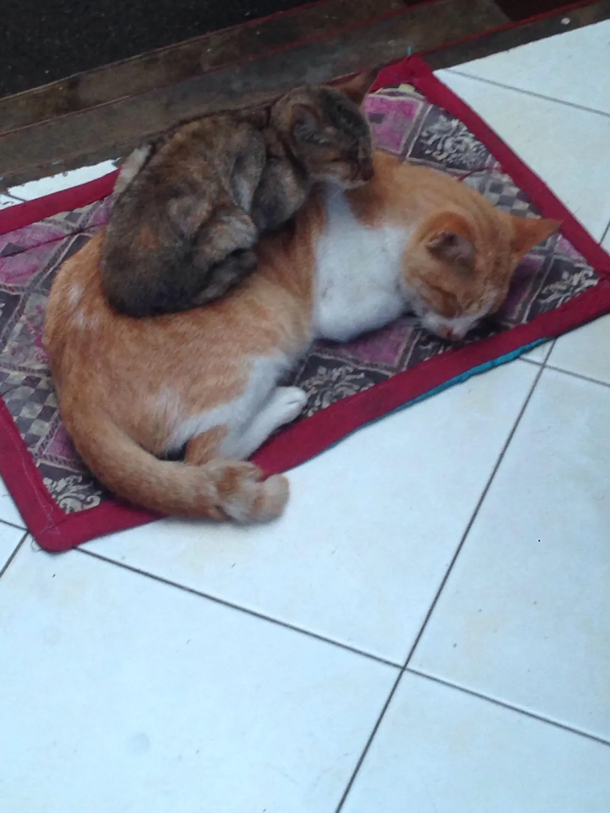 Just had to take a picture