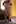 Wife at 39Yrs Old 🤍 After taking 30+ different cocks in college &amp;mine thousands of times :) She’s been covered +filled with cum for decades [she loves cum] Would you still fuck this 80’s mom?