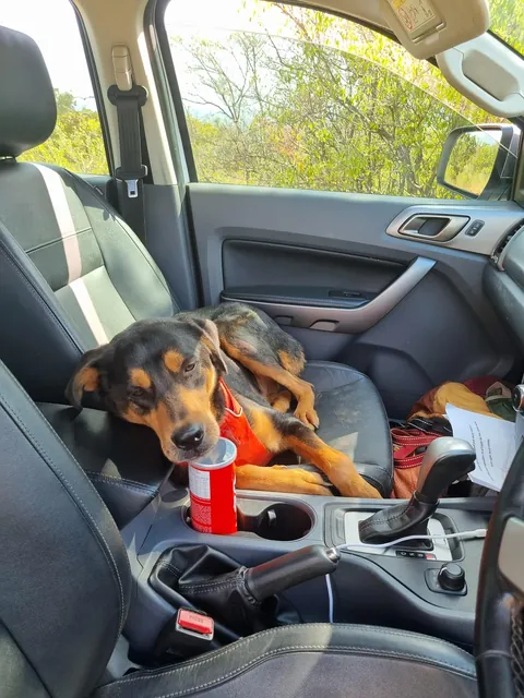 Took my boy camping a little while ago