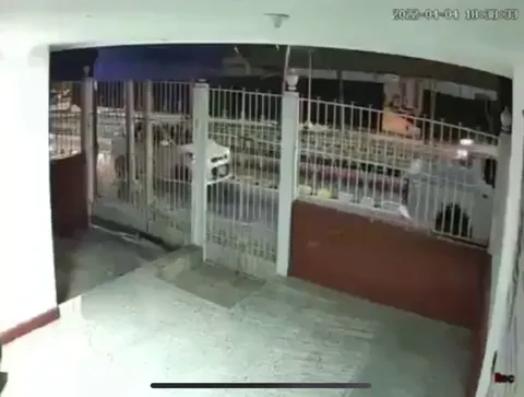 Family’s reaction to their dog’s return after two years lost during the pandemic 