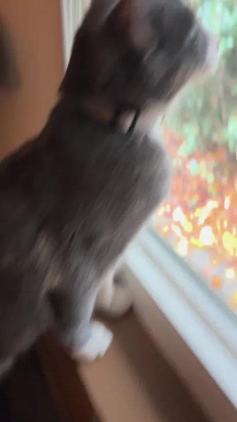 You can see her breath on the glass as she chips at the wildlife