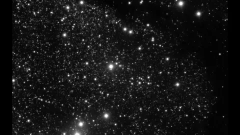 We just filmed a visitor from another solar system