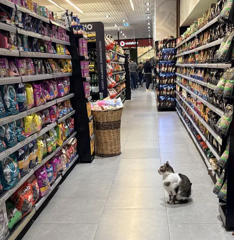 Guard Duty on the Pet Food Aisle
