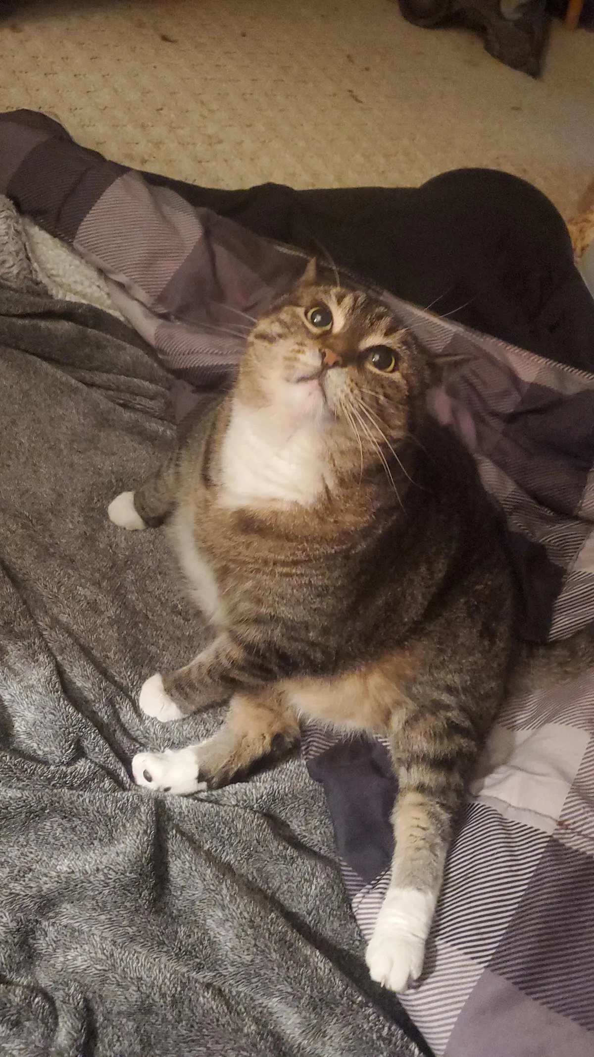 What's it mean when she bites me then licks me?