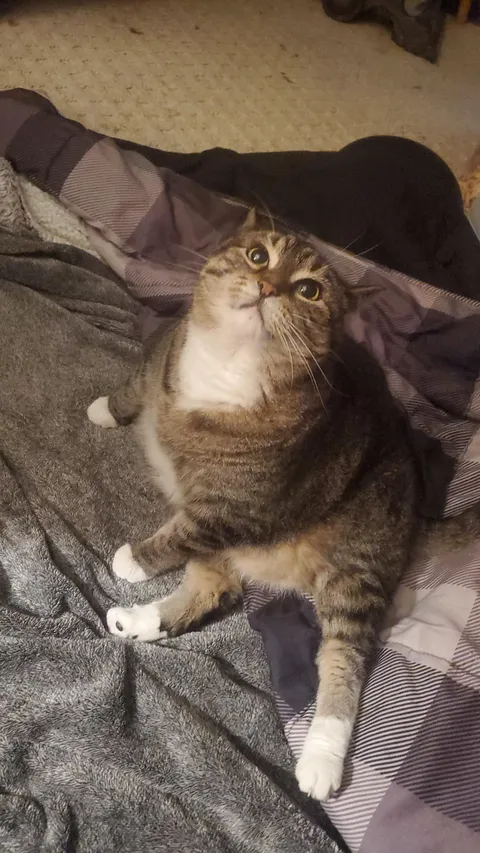 What's it mean when she bites me then licks me?