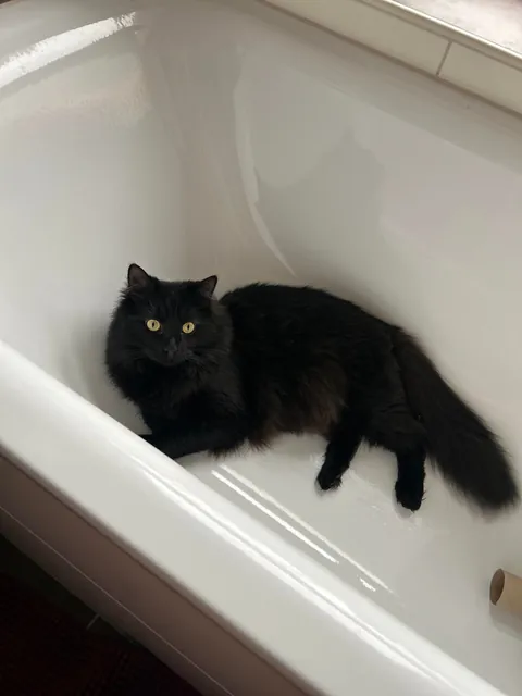 First day with us vs. now