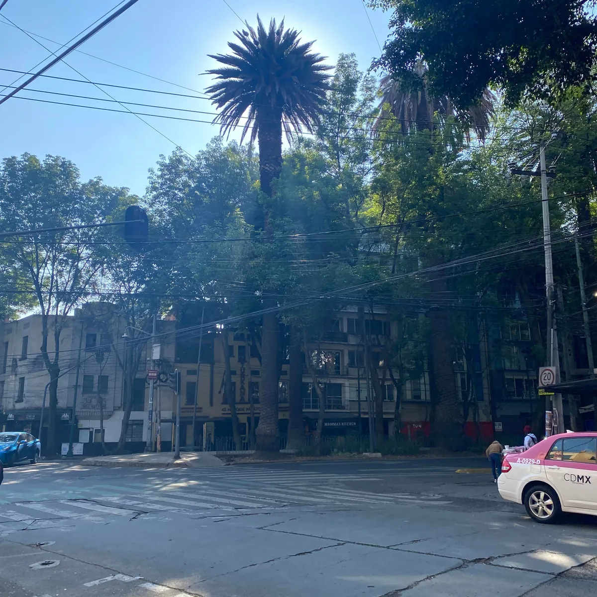 Mexico City had the Lushest, Greenest, Most Beautiful Neighborhoods I've Ever Seen