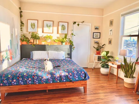 My new bedroom, basking in the California winter sun