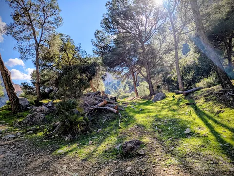 Malaga/Granada/Surroundings