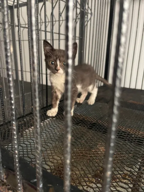 How it started vs how it’s going