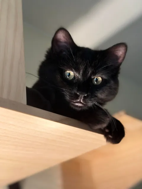 What would you name her?