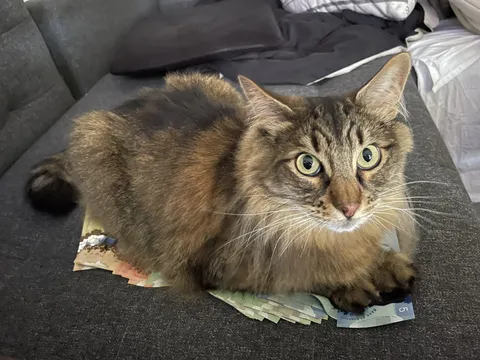 Canada's safest bank.