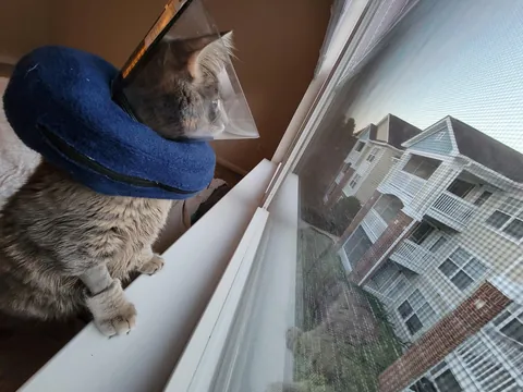 "You won't want to deal with it"