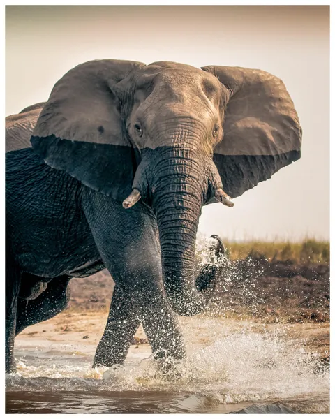 Old Pictures Rediscovered