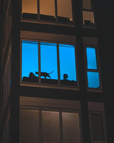 Is this an interesting photo? I’ve been practicing my street photography more.