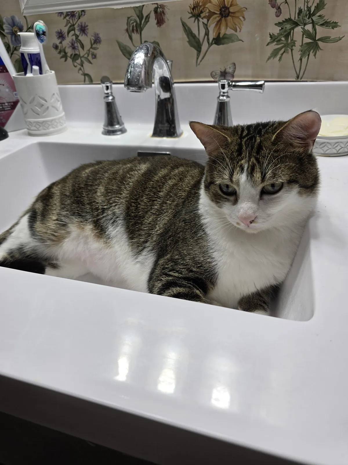 Sink supervisor came early to check if it was clean 😂