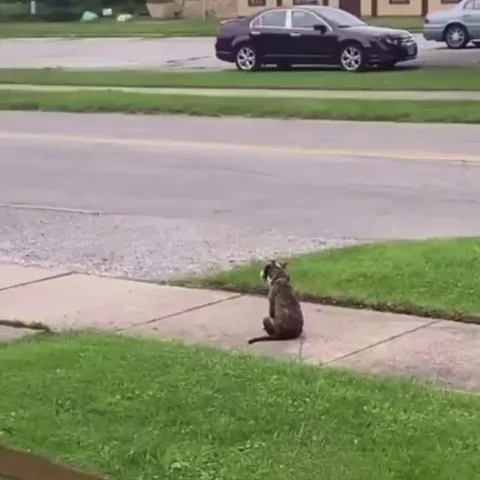 Loves seeing his buddy back home!