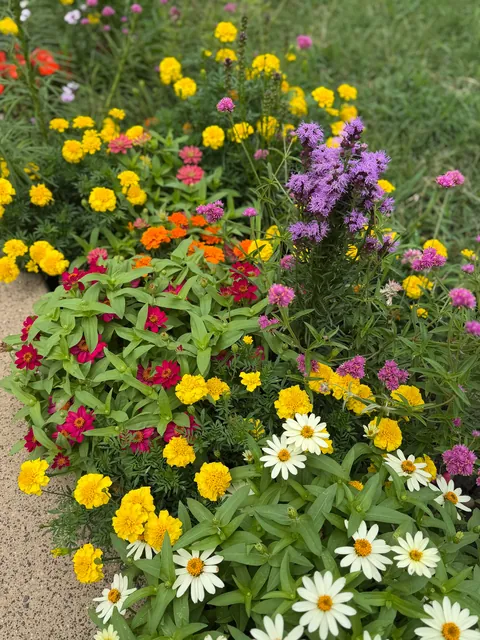 First garden (UPDATE)