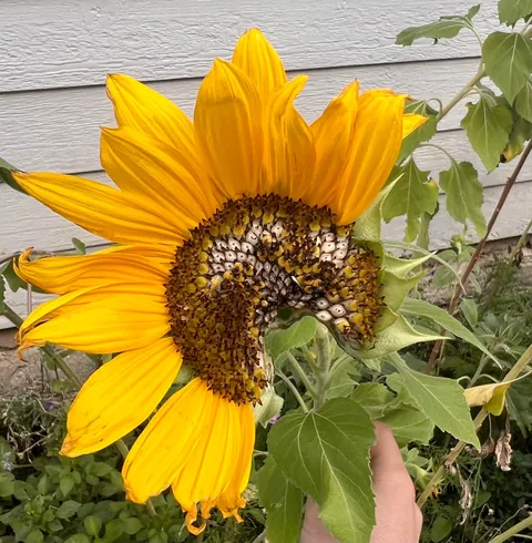 I WOULD LIKE TO PRESS CHARGES ON THIS VANDAL