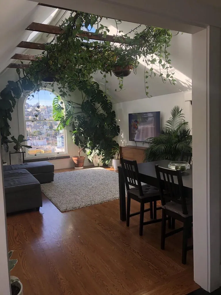Cozy indoor jungle