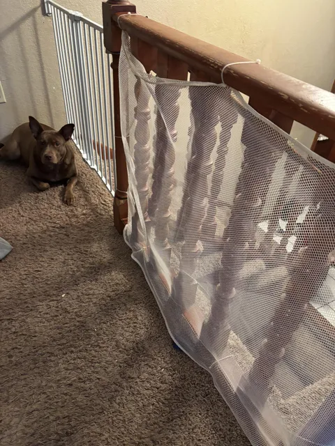 Toddler keeps trying to climb over railing.  What do you suggest I do?