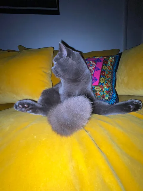 It’s his 1st bday. Congratulate him