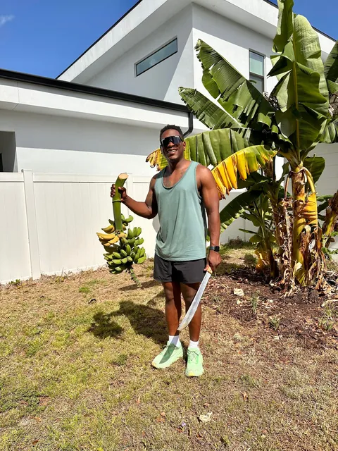 First banana harvest!