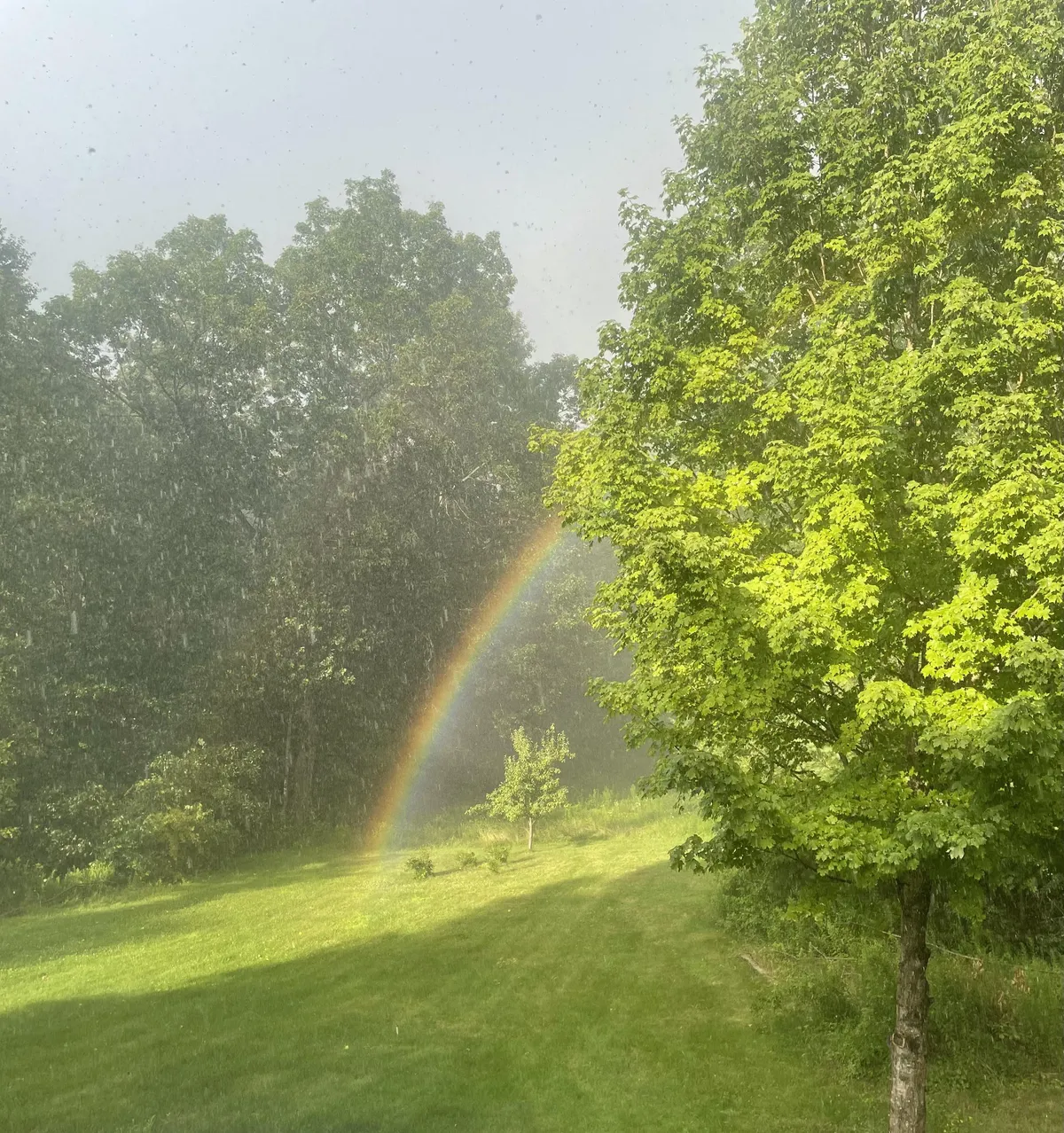 A rainbow ended in my back yard.