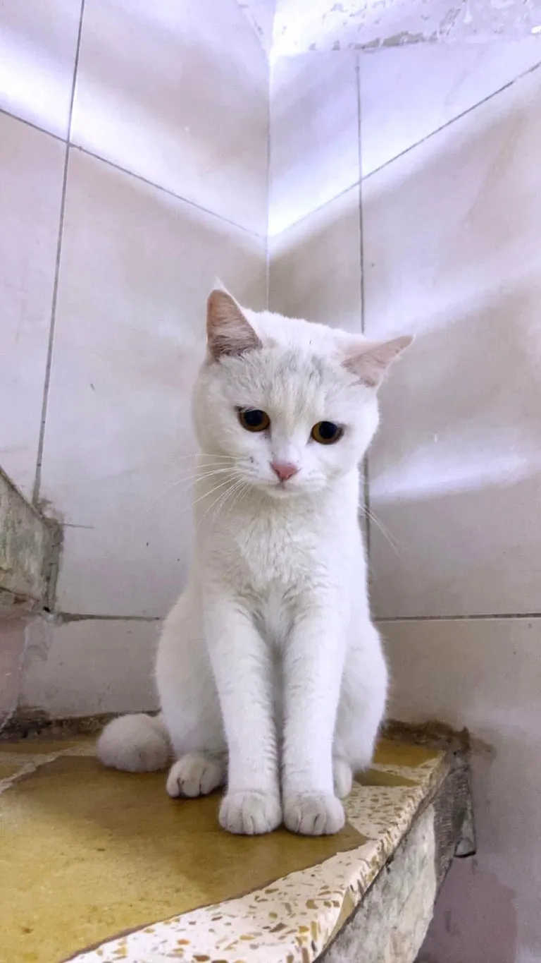 Her family abandoned her