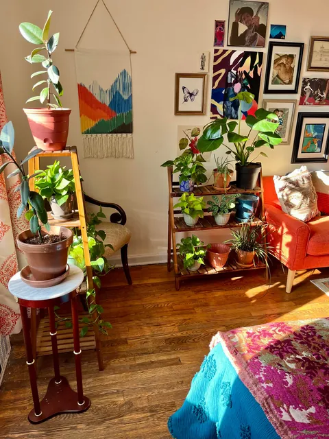 Love my cozy, eclectic apartment ✨