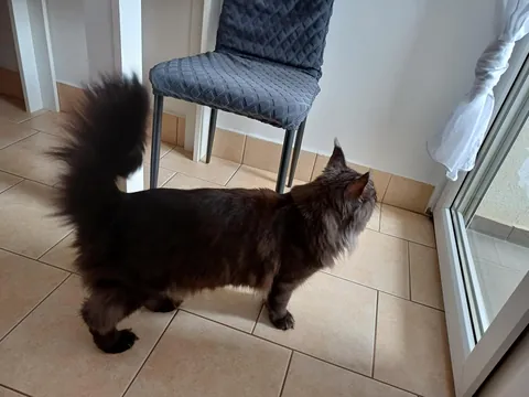 Hi reddit, it's Théoden. Did not see you for a long time