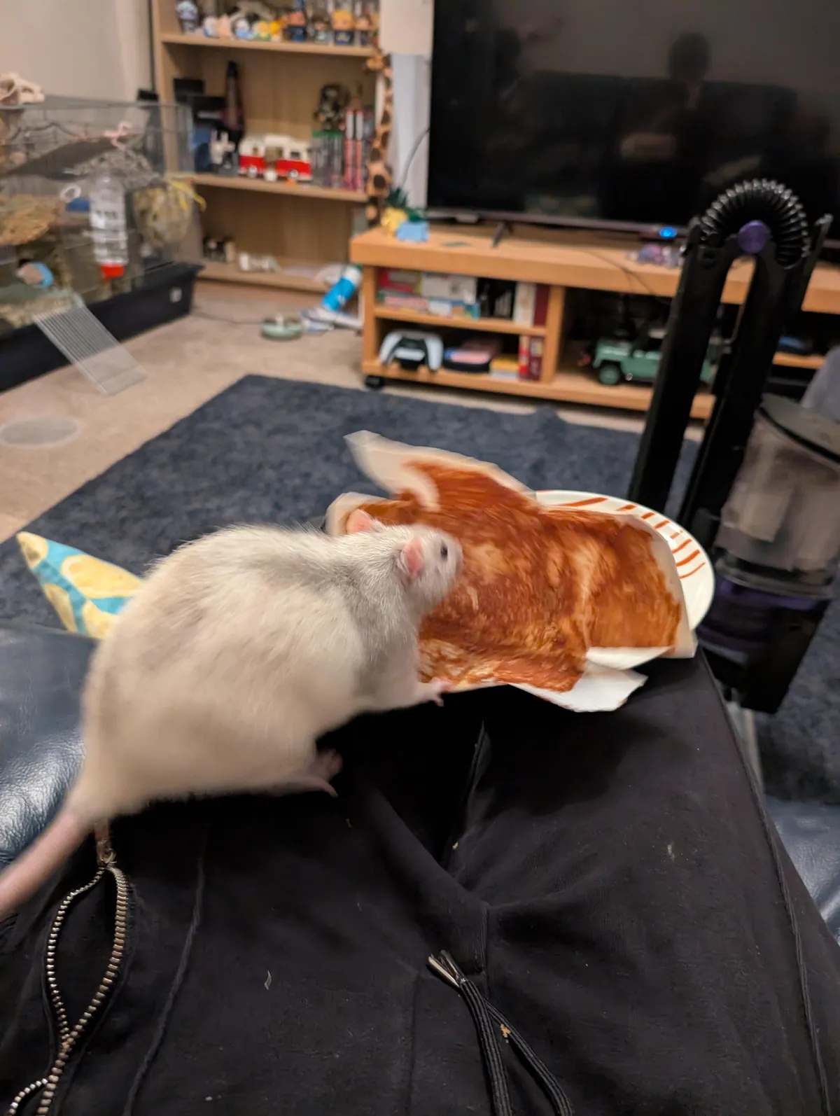 Ernie in places he shouldn't be but they get progressively funnier