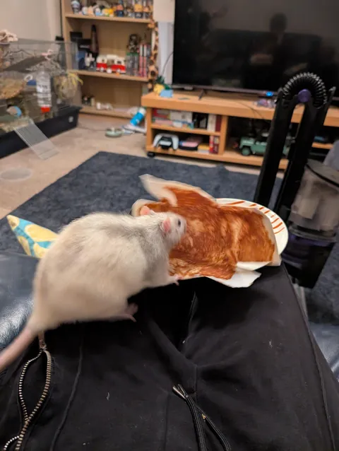 Ernie in places he shouldn't be but they get progressively funnier