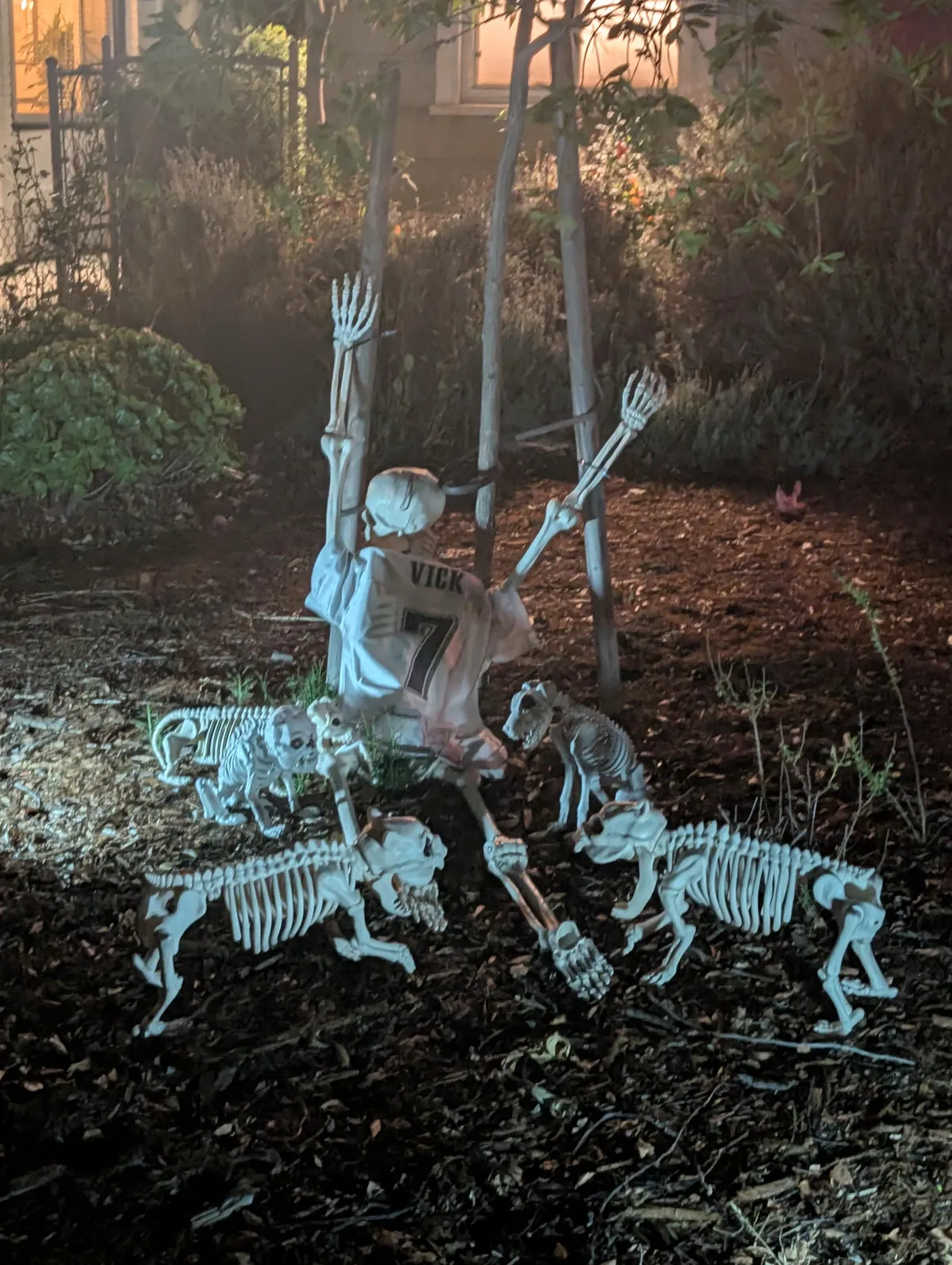 Seen in Burbank, CA [oc]