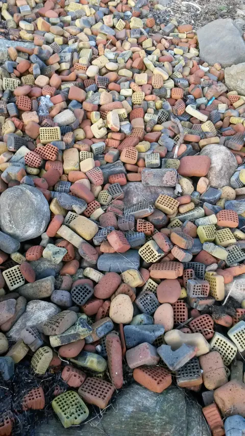 This beach used to have a brick factory on it, now it's covered in weathered bricks