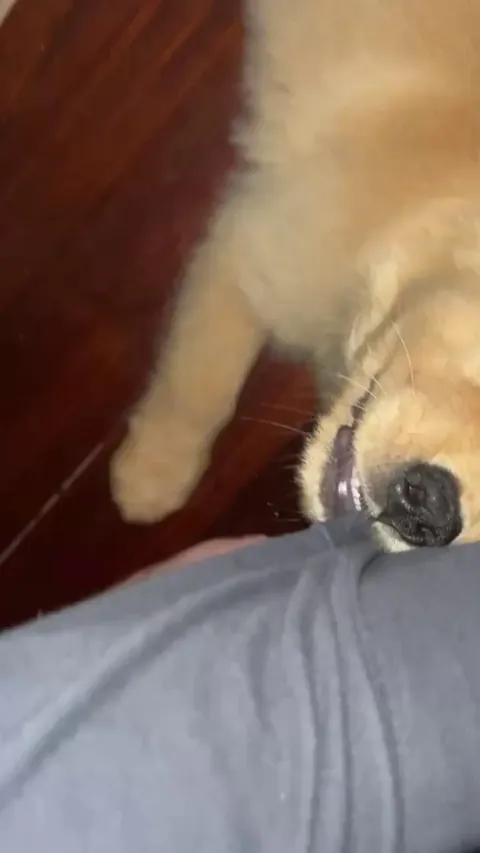 Bro is trying to beat my ass.