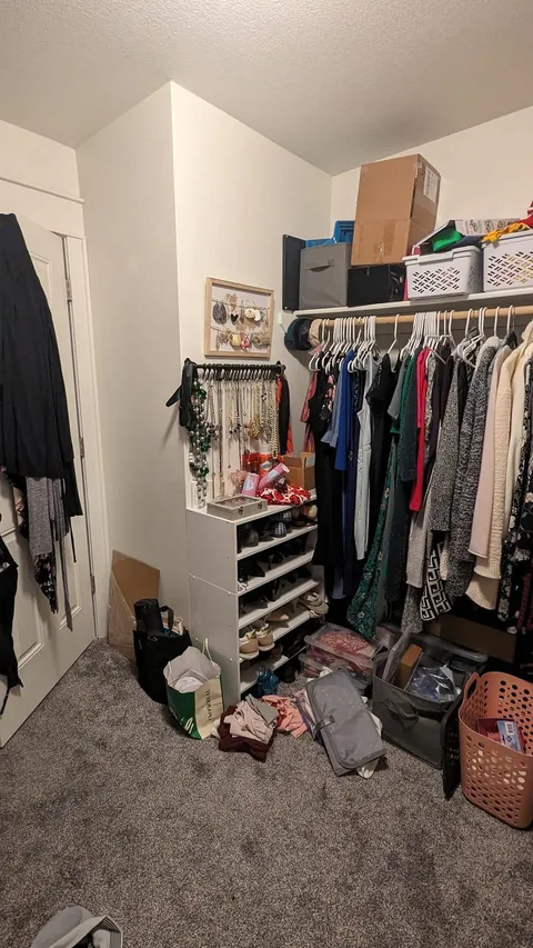 Wife Tricked Me into Complete Closet Remodel 