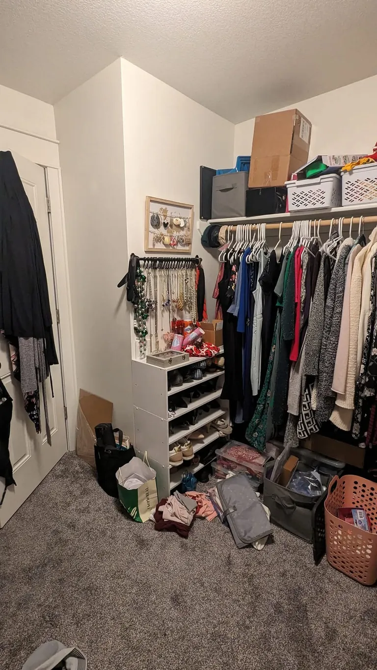 Wife Tricked Me into Complete Closet Remodel 