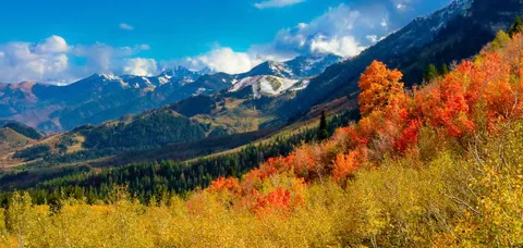 Fall Color - Wasatch Mountains, Utah [1920 x 913] [OC]