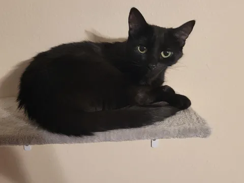 She looked so cute I just had to take a picture, but I accidentally woke her 😅