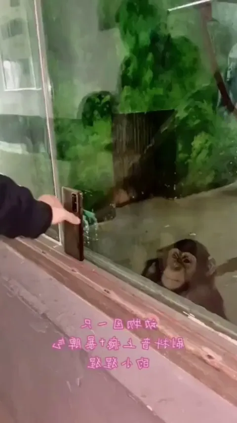 Put it here, put it here!