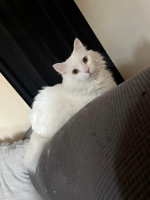 Just an appreciation post