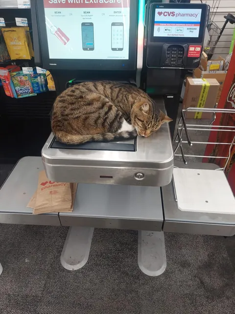 CVS Cashier