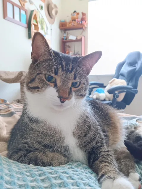 the most handsome pic I've ever taken of him