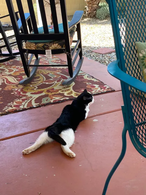 Compilation of my boi  being flat &lt;3