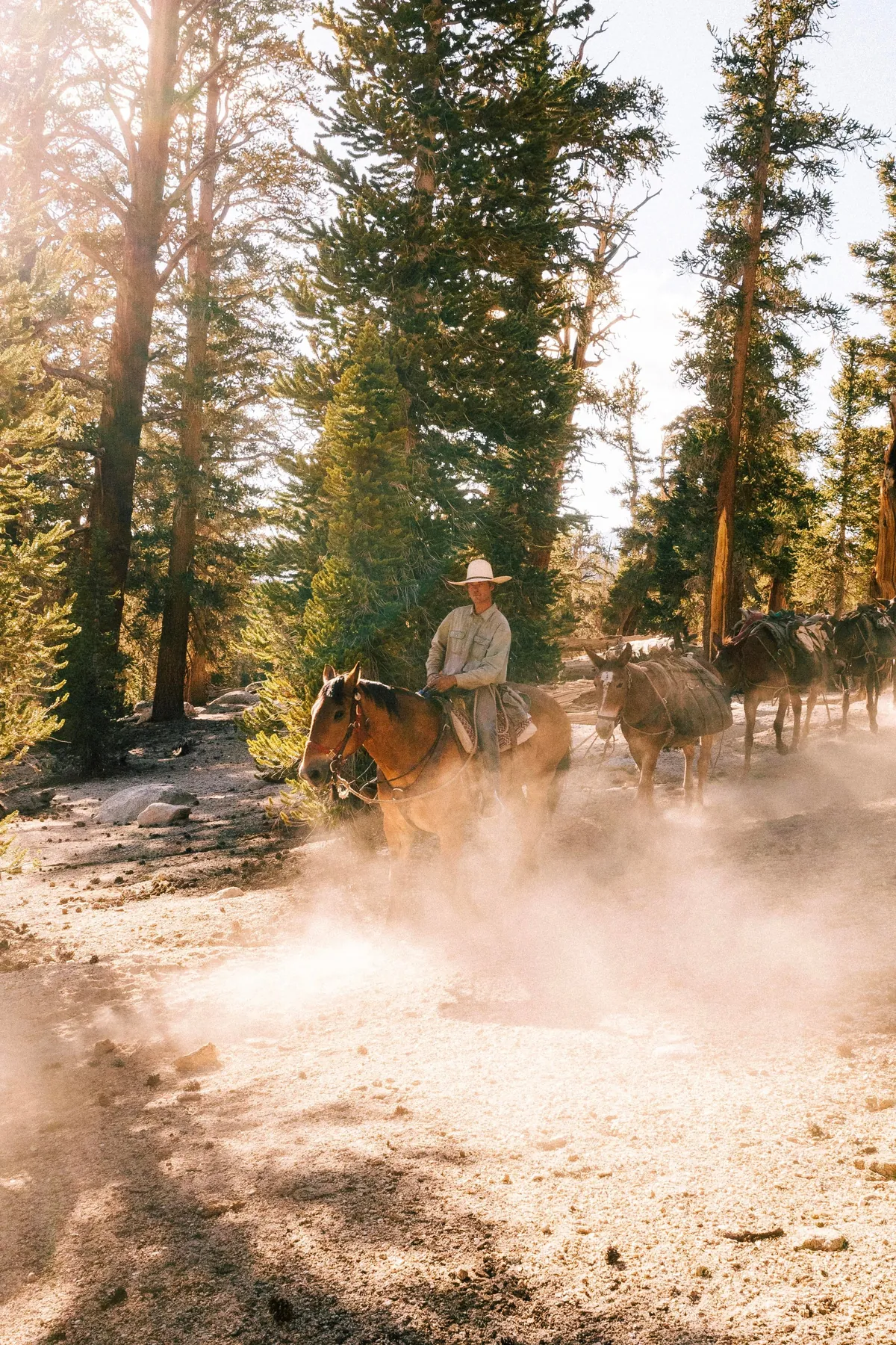 I hiked 2650 miles from Mexico to Canada on the Pacific Crest Trail