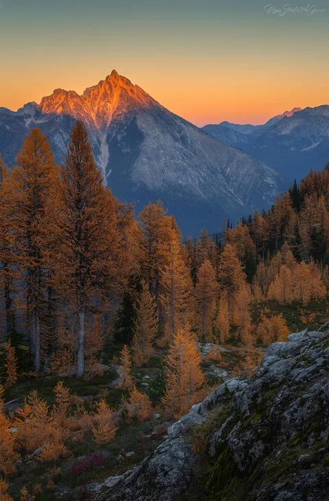 Gorgeous larches &amp; alpenglow in the North Cascades [OC][1183x1800]