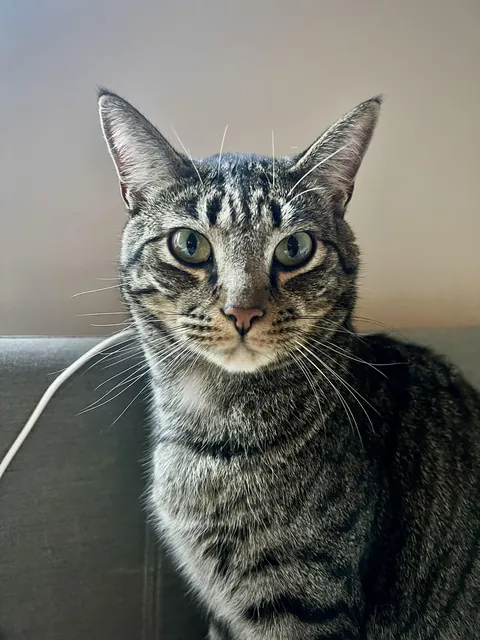 Look at my handsome boy.